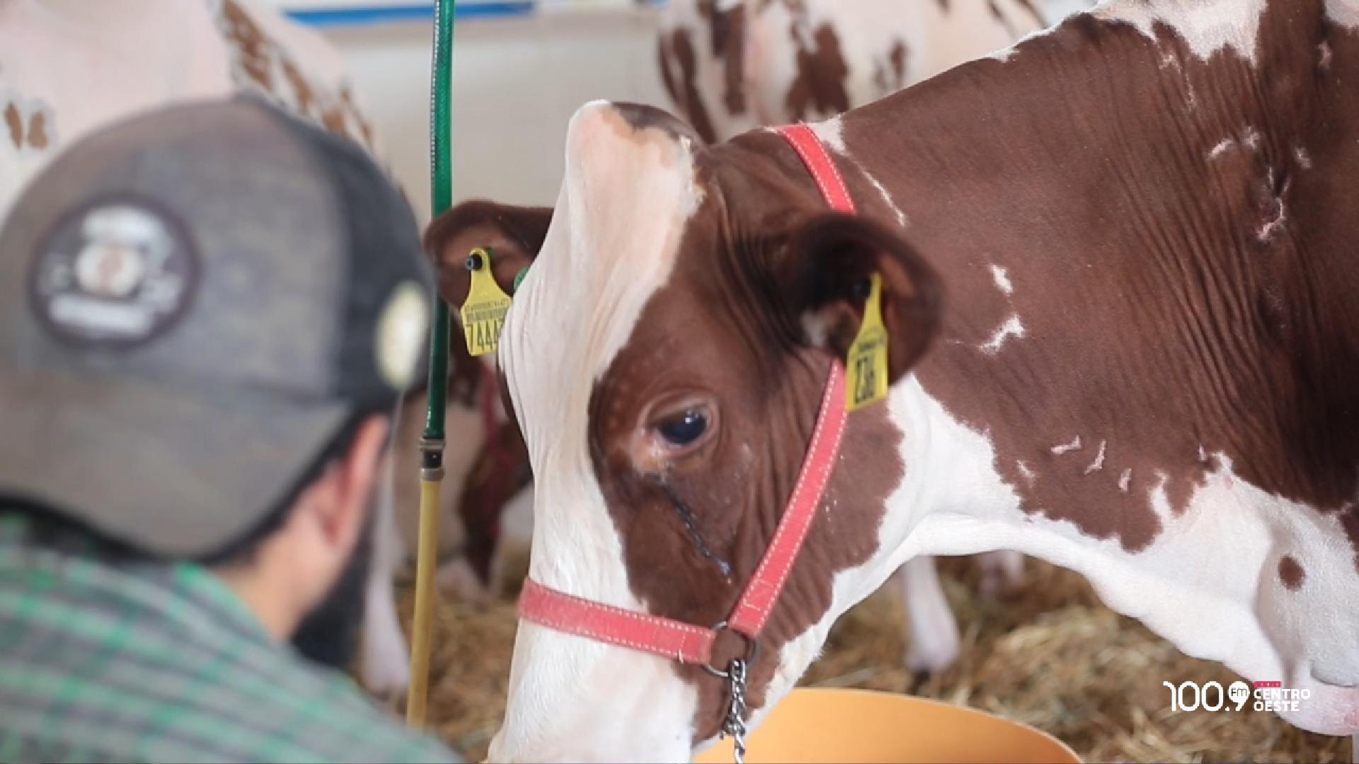 Produtores entregam manifesto ao governador durante o Itaipu Rural Show