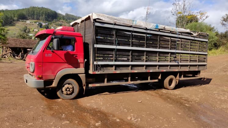 Coleta de recicláveis será realizada no interior de Saudades