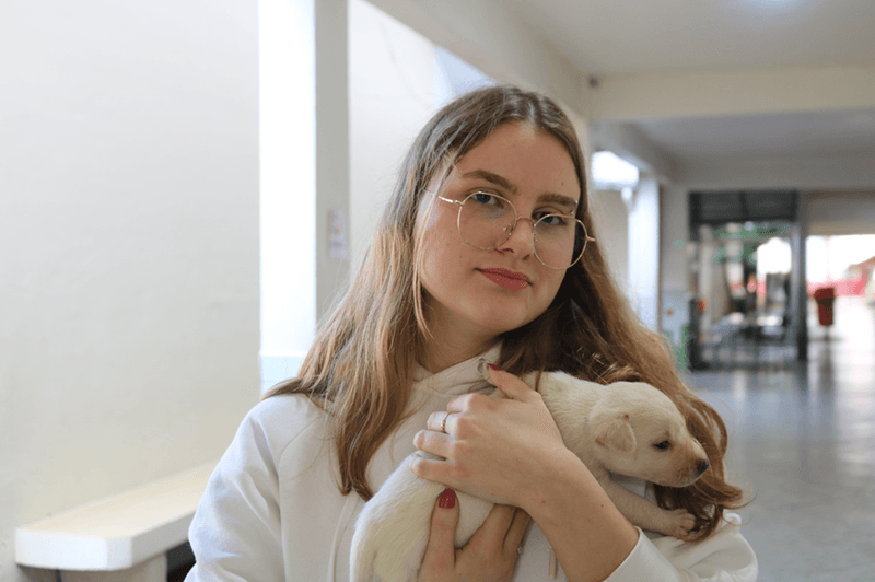 Da caixa até o colo: cachorrinhos ganham lar após abandono