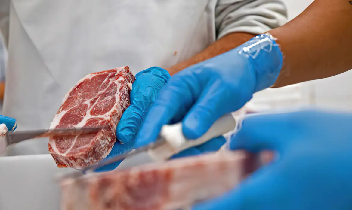 Brasil amplia exportações de carne bovina e ovinos para Indonésia e Argélia