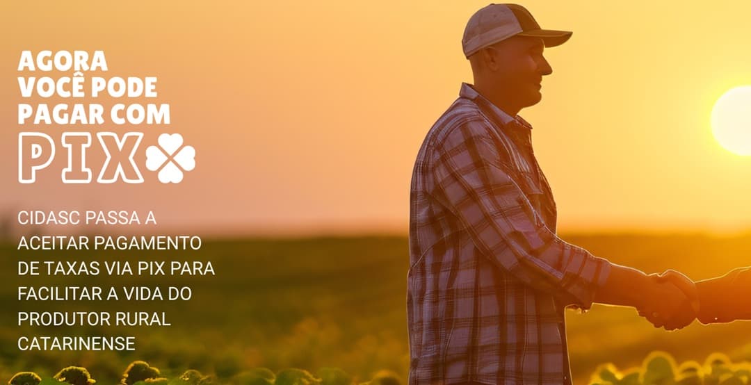 Pagamento de taxas da Cidasc agora pode ser feito via PIX