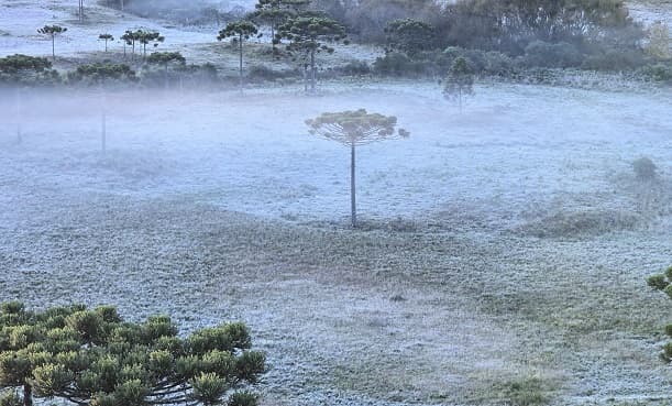 Geada cobre a Serra e o Meio-Oeste de Santa Catarina em manhã gelada de outono