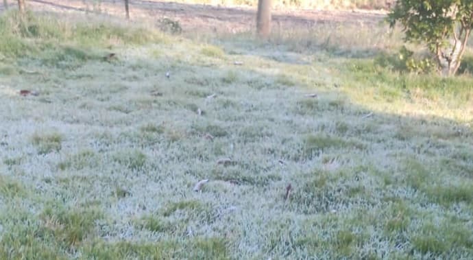 Paisagens amanhecem cobertas de "branco" em Pinhalzinho