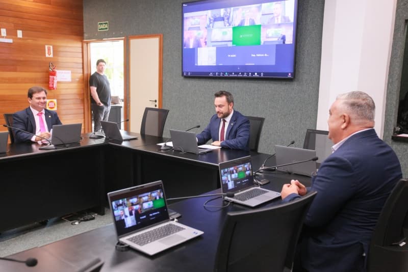 Comissão aprova promoção de seminário para discutir combate à esporotricose em gatos