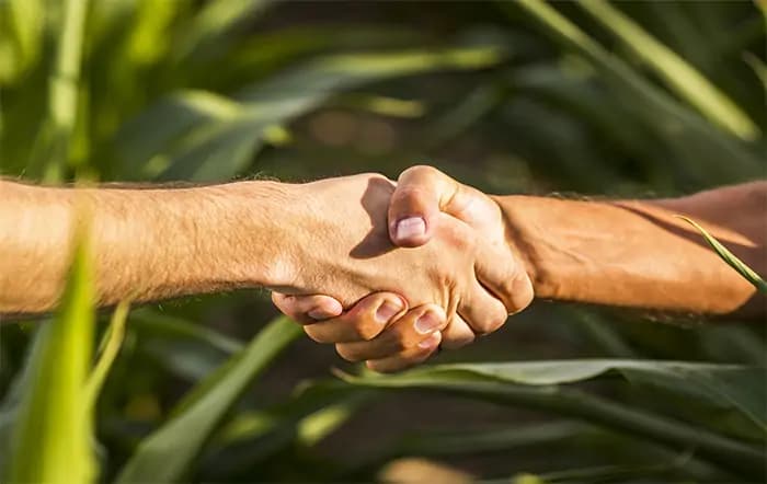 58% dos catarinenses são associados a alguma cooperativa
