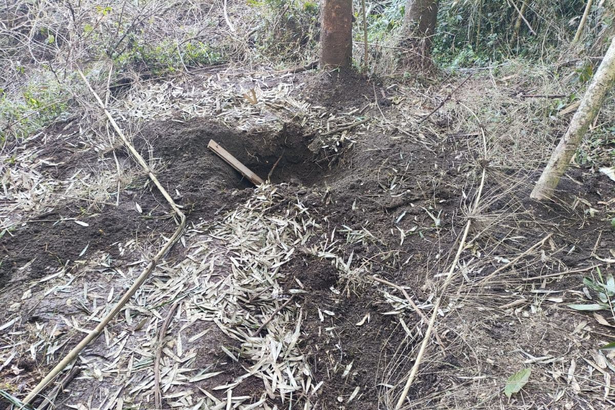 Descoberta de cova em mata mobiliza forças de segurança
