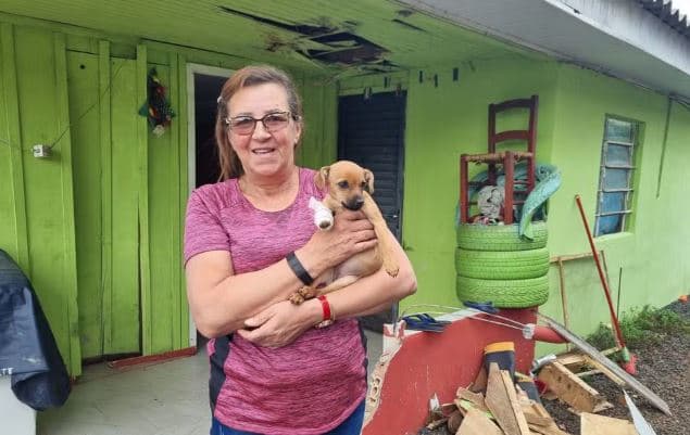 Pneus percorrem 500 metros, acertam casinha e machucam cachorrinha