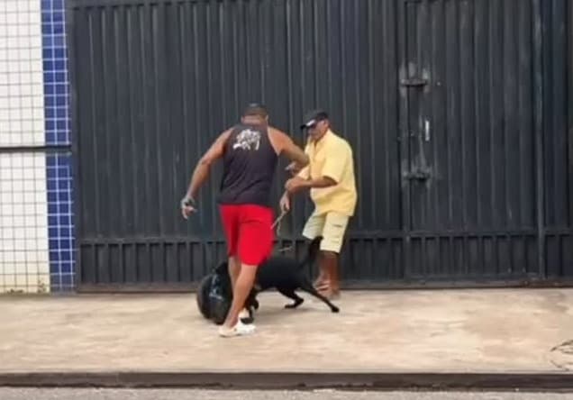 Mano a mano… pet a pet! veja essa briga de vizinhos