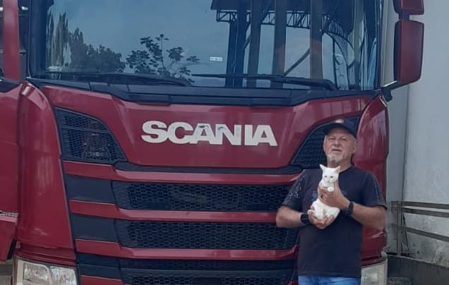 Caminhoneiro adota gatinho e ganha parceiro de viagens