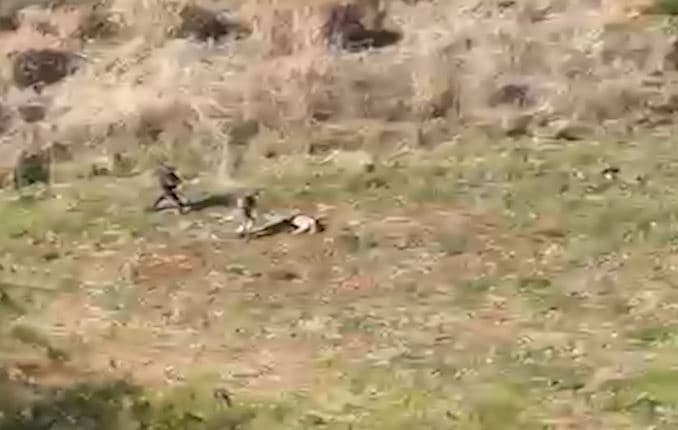 VÍDEO! Oito presos escapam da cadeia; levaram até uma viatura