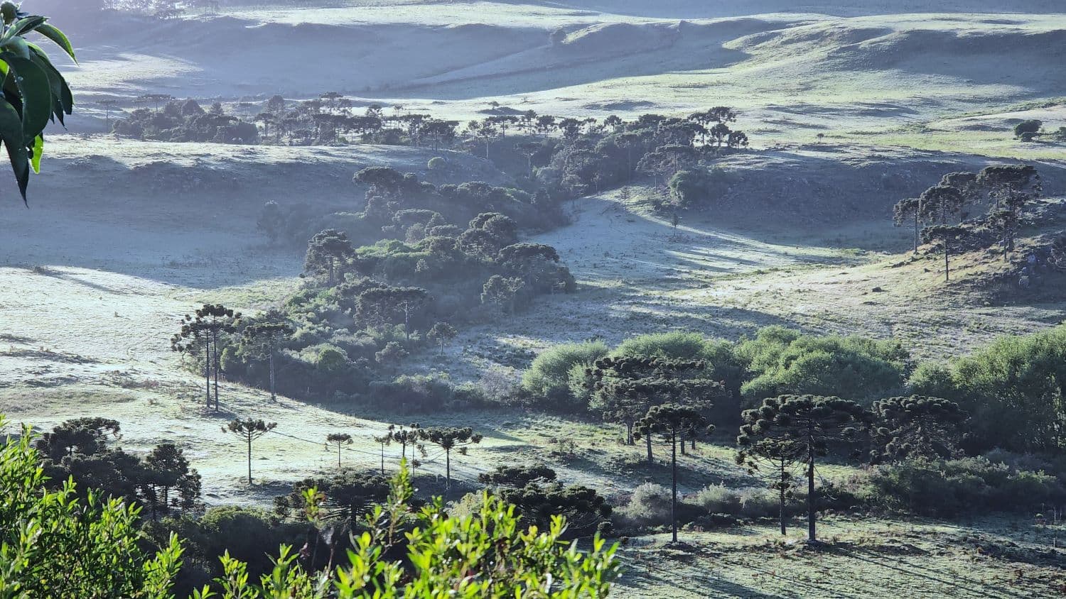 Frente fria derruba temperaturas em Santa Catarina e traz chance de neve e geada ampla nesta semana