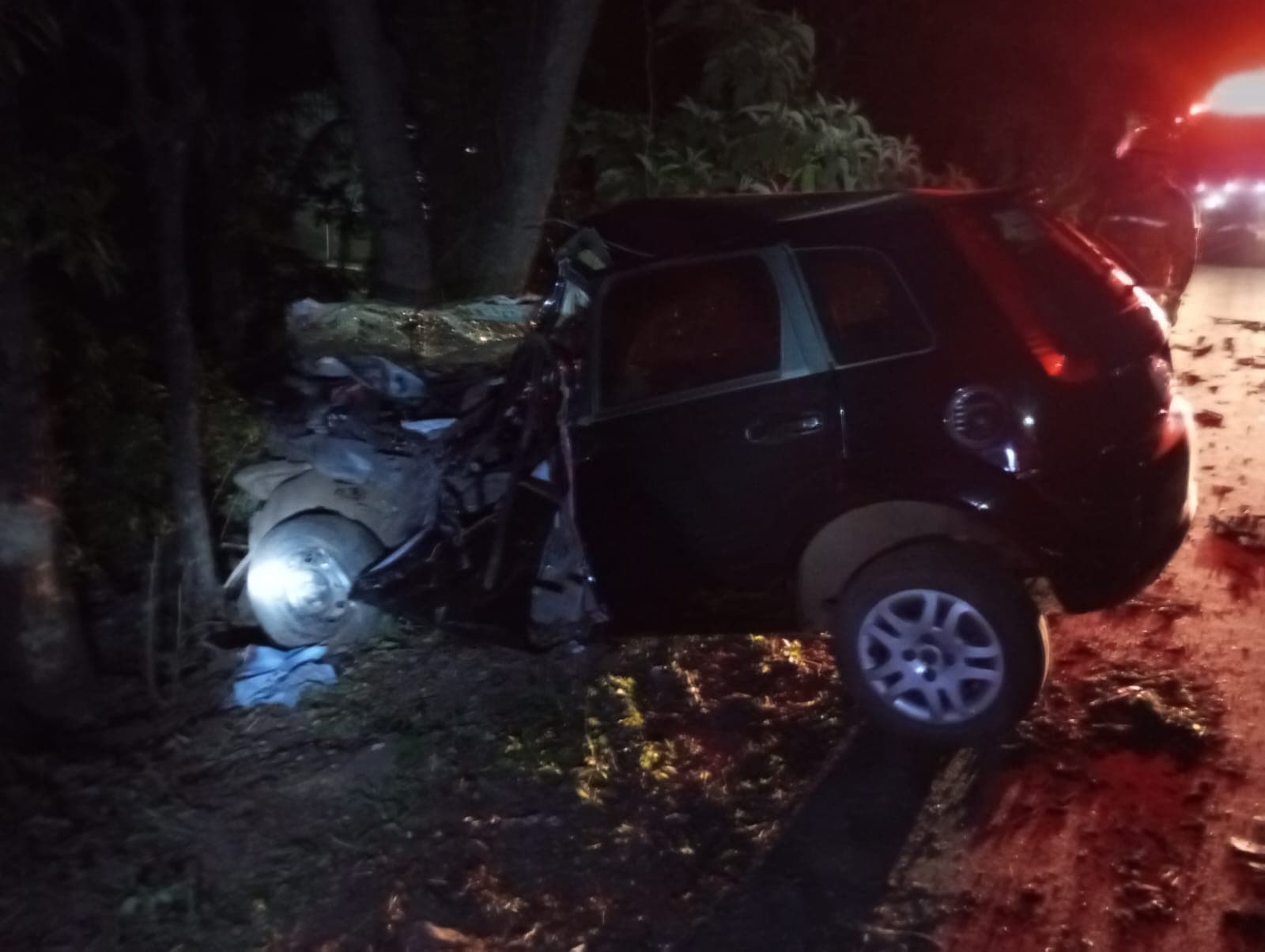 Condutor sai com carro e acerta árvore em cheio na BR-282