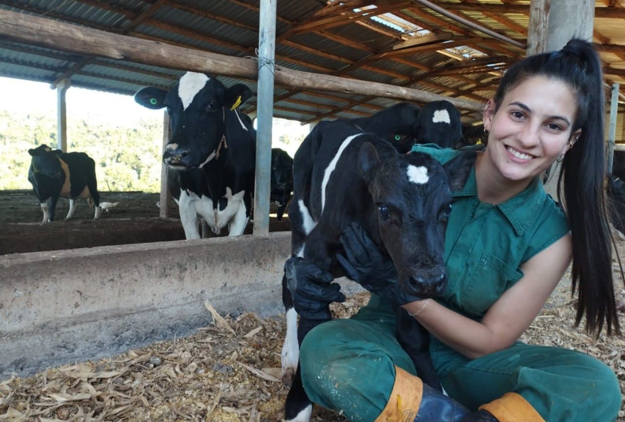 Estudante tatua vaca de estimação no braço