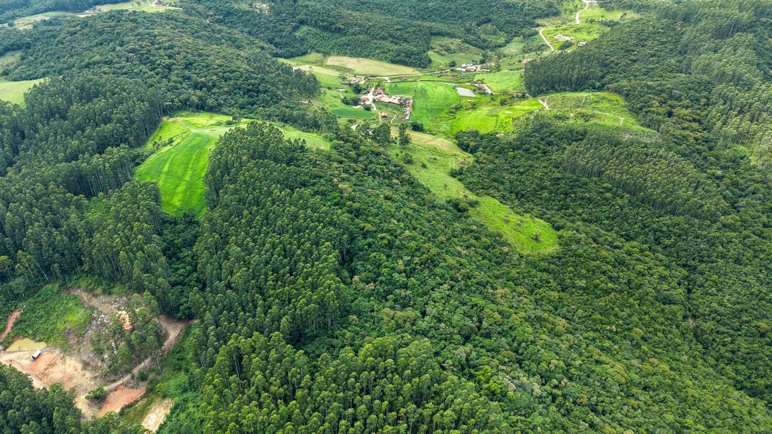 Com R$ 70 milhões, Programa Mais Verde abre inscrições para remunerar produtores rurais