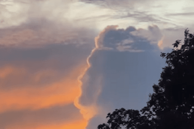 Figura intrigou moradores (Foto: Redes Sociais)