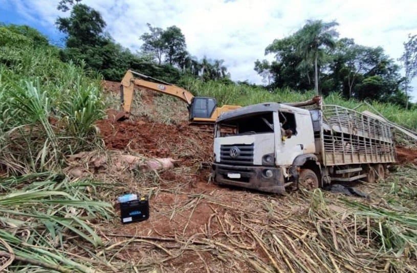 Caminhão ficou tombado no local durante a madrugada e animais sumiram (Foto: Polícia Militar)