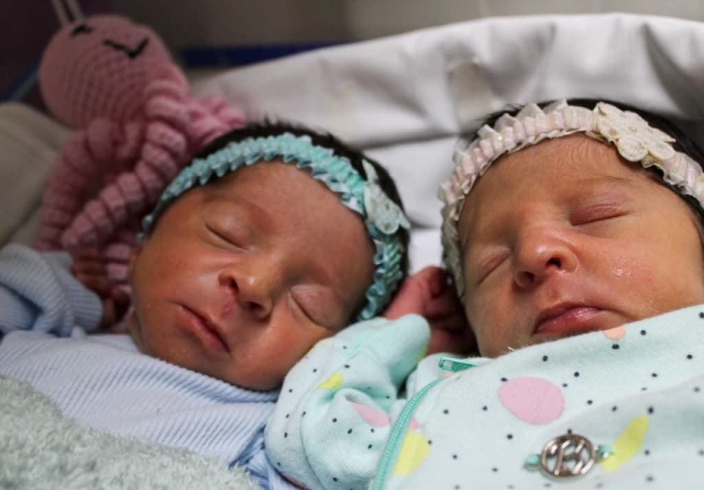 Gêmeas catarinenses no hospital (Foto: Divulgação)