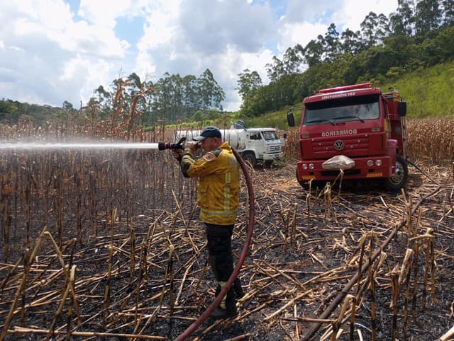 Incêndio destrói lavoura de milho em Serra Alta
