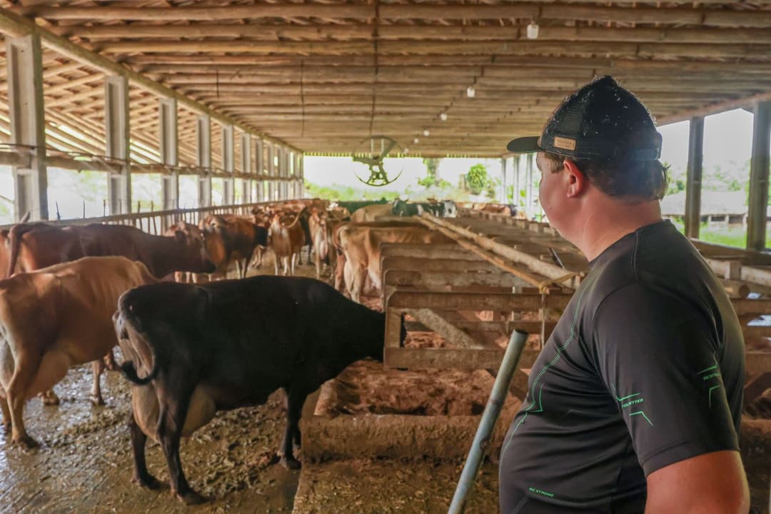 Pronampe Leite movimenta R$ 84 milhões e beneficia mais de 3 mil produtores em SC