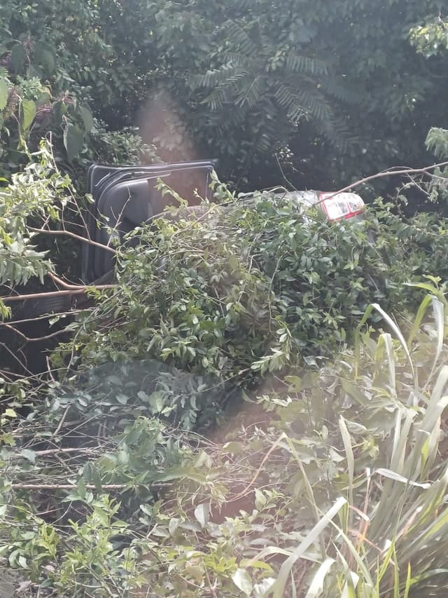 Colisão na BR-158 termina com ataque de abelhas e dois encaminhamentos ao hospital