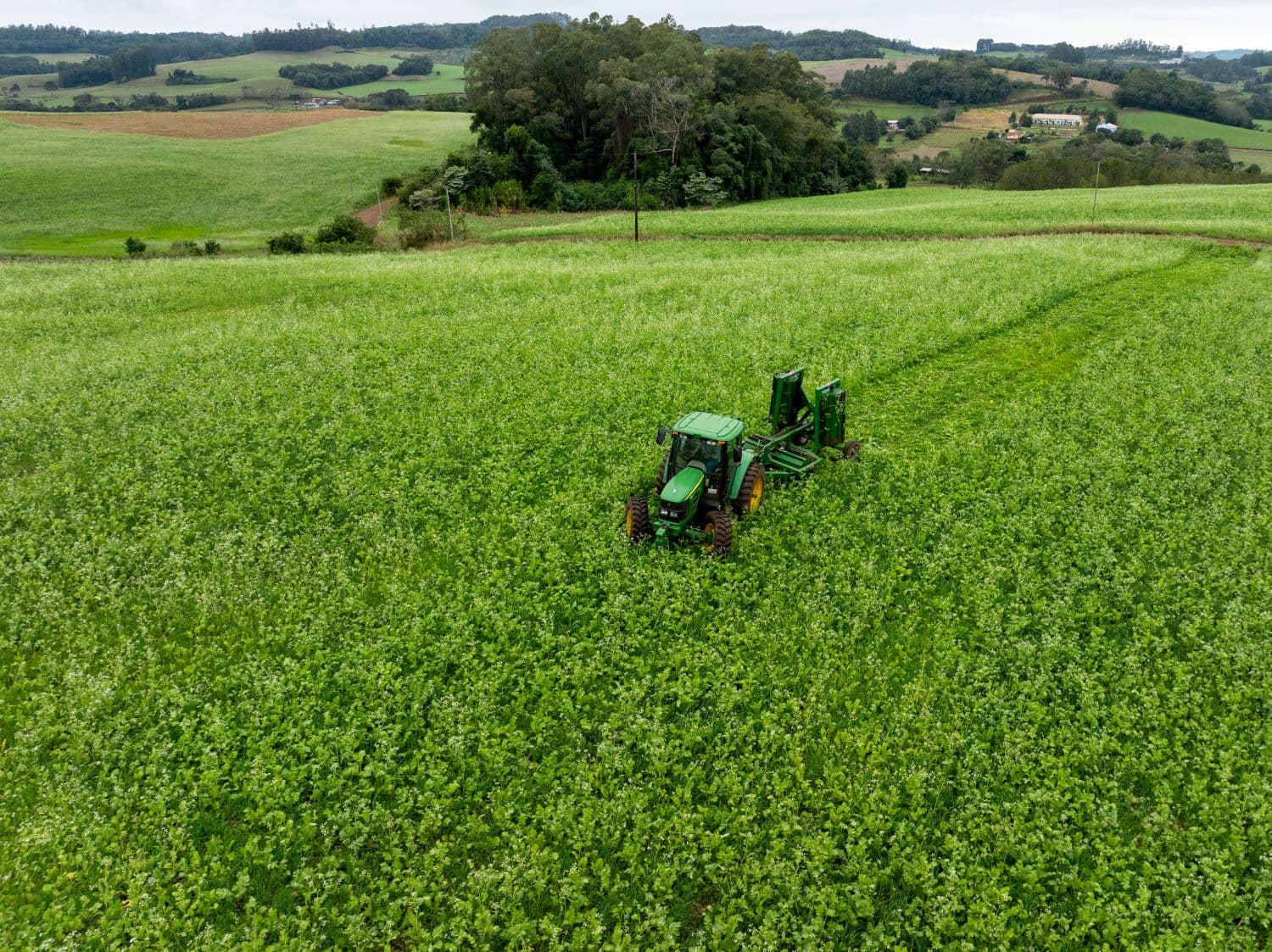 CCIR 2026 já pode ser emitido por proprietários de imóveis rurais