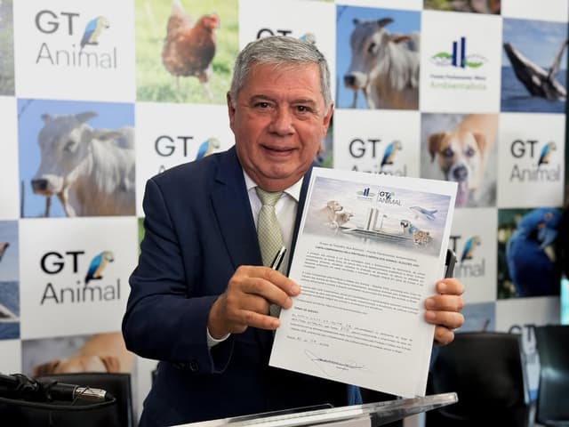 Deputado Mário Motta leva Caso Orelha a Brasília e defende endurecimento da lei contra maus-tratos a animais