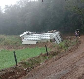 Carreta carregada de suínos tomba em estrada rural