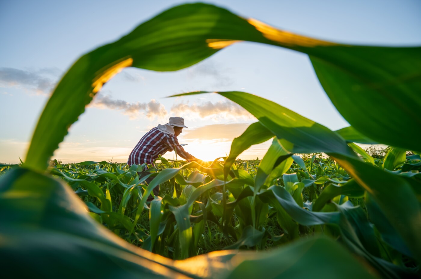 Agro bate recorde de empregos no Brasil e alcança 28,4 milhões de trabalhadores