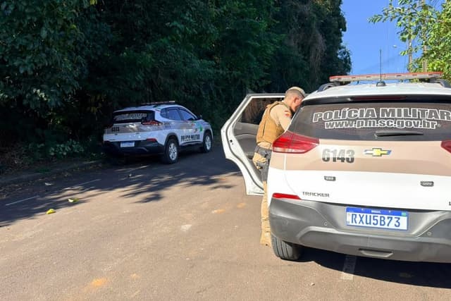 Pacote de salgadinho escondia drogas; cinco presos em Iraceminha