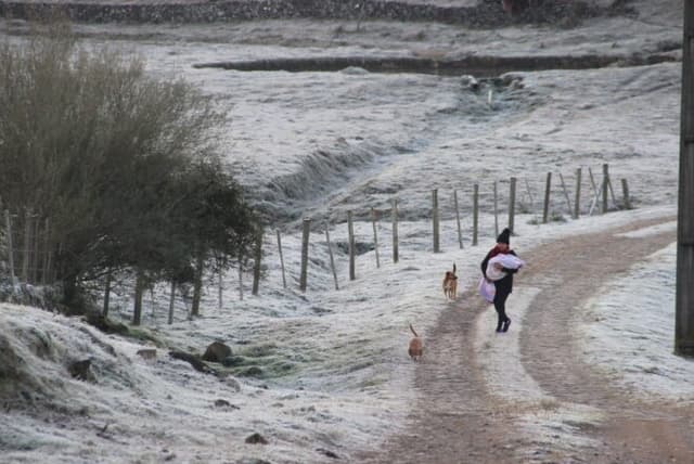 -6,7°C: Santa Catarina tem amanhecer mais frio do ano
