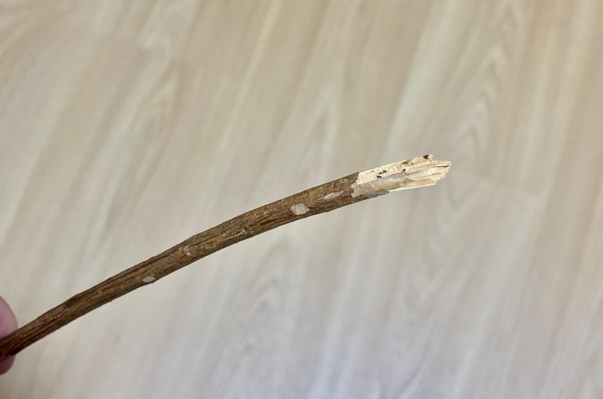 Mãe usa “varinha” para disciplinar filho e é presa