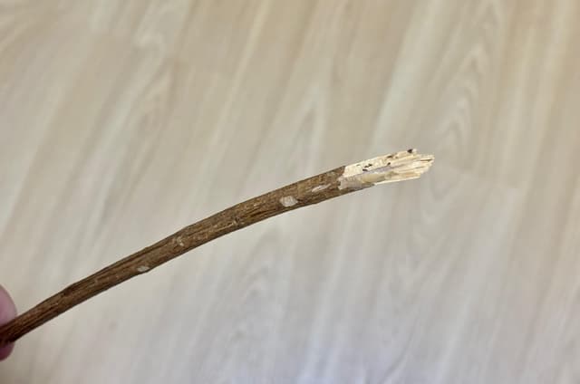 Mãe usa “varinha” para disciplinar filho e é presa