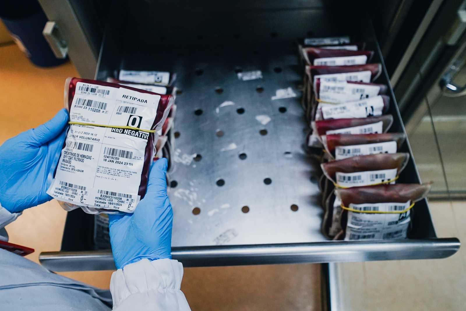 Junho Vermelho mobiliza catarinenses para reforçar estoques de sangue