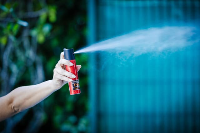 Spray de pimenta para mulheres com medida protetiva pode virar realidade em SC