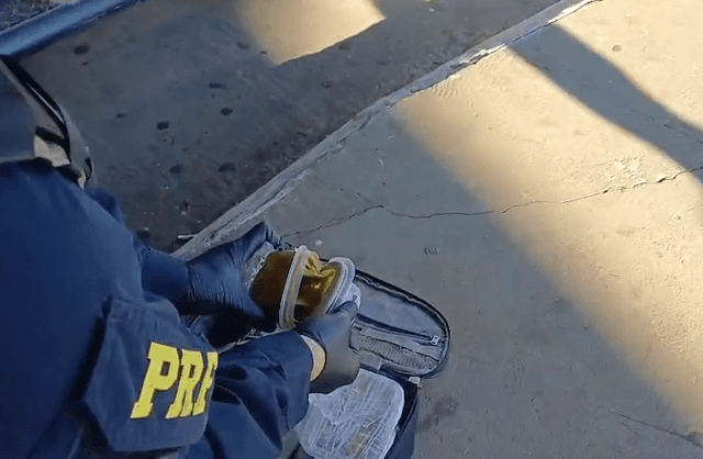 Haxixe marroquino de alto valor é apreendido em Chapecó